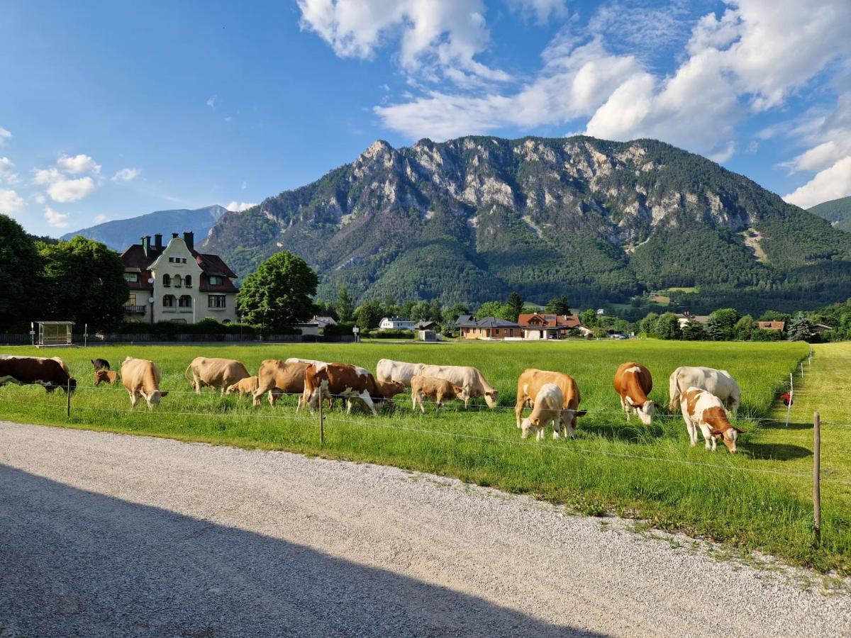 Apartmán Leo-Hof Hirschwang Exteriér fotografie
