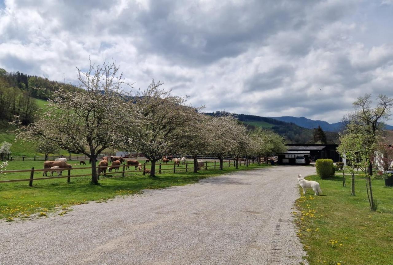Apartmán Leo-Hof Hirschwang Exteriér fotografie